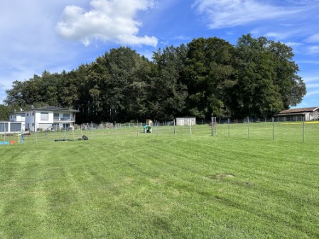 Parkplatz und Welpenplatz
