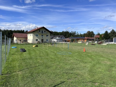 Welpenplatz